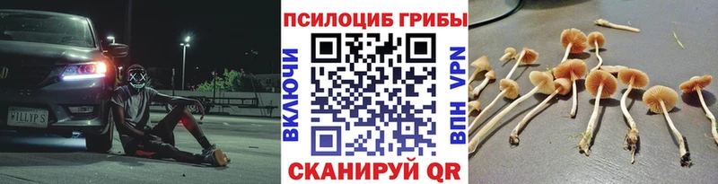 Галлюциногенные грибы прущие грибы  цена   Зима 